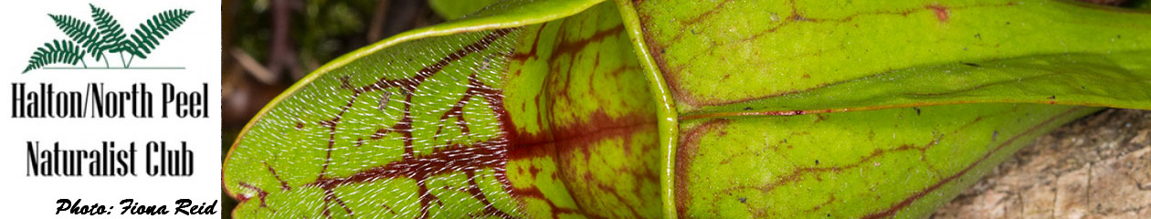 Halton North Peel Naturalist Club