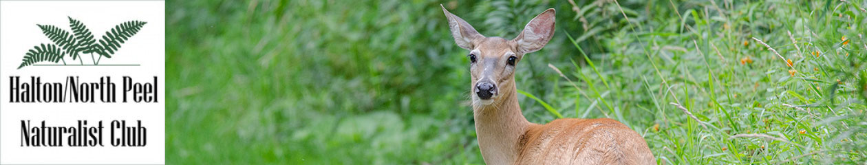 Halton North Peel Naturalist Club