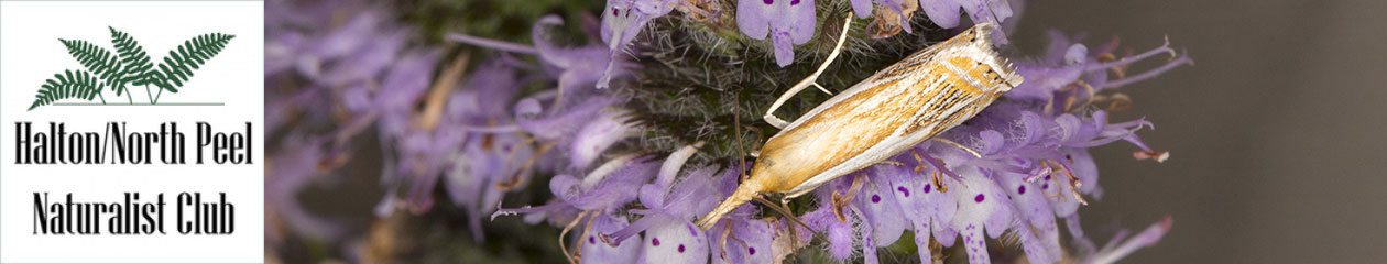 Halton North Peel Naturalist Club