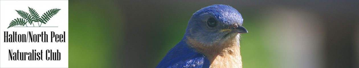 Halton North Peel Naturalist Club
