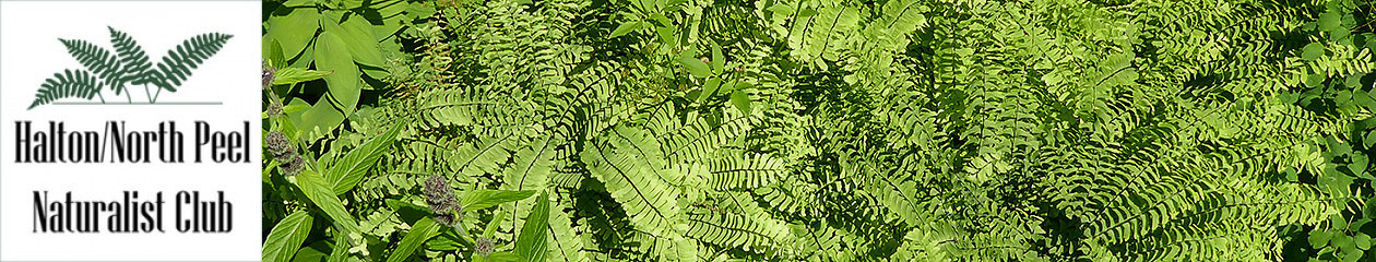 Halton North Peel Naturalist Club