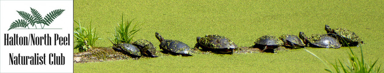 Halton North Peel Naturalist Club