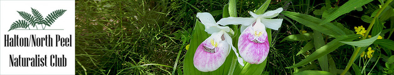 Halton North Peel Naturalist Club