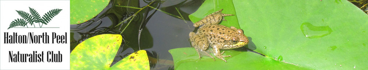 Halton North Peel Naturalist Club